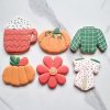 Biscuit Decorating Kit, Cookie Decorating Kit, DIY Cookies, DIY biscuits Autumn Cookies, Fall Cookies